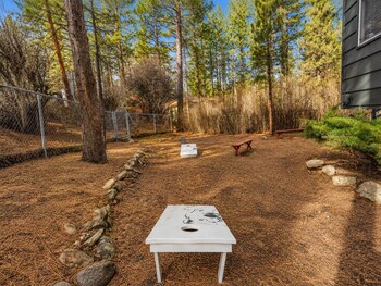 dark pine retreat