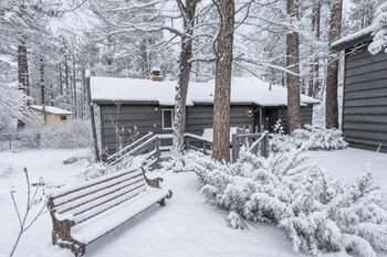 dark pine retreat