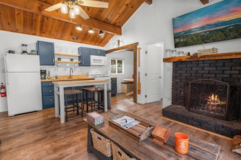dark pine retreat