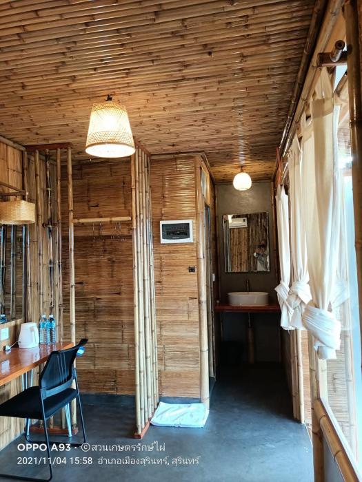 bamboo conservation farm