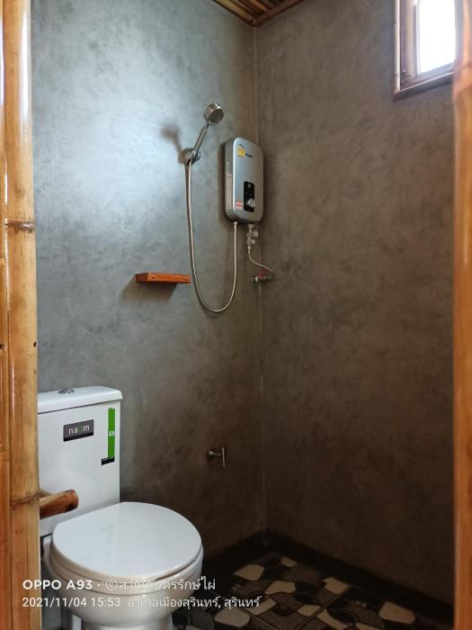 bamboo conservation farm