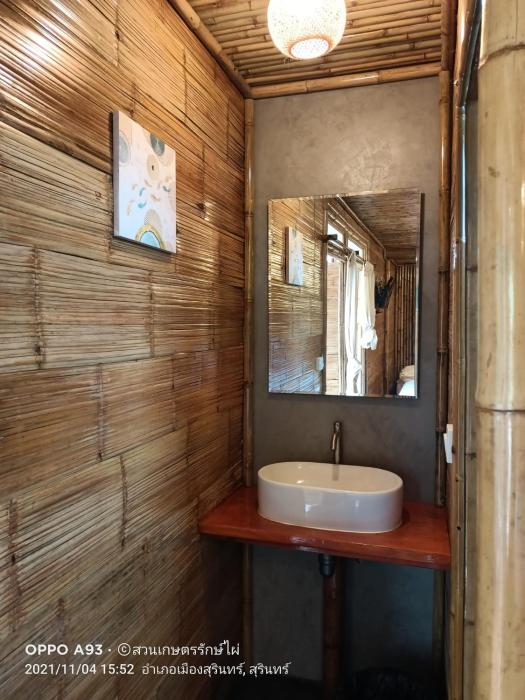 bamboo conservation farm