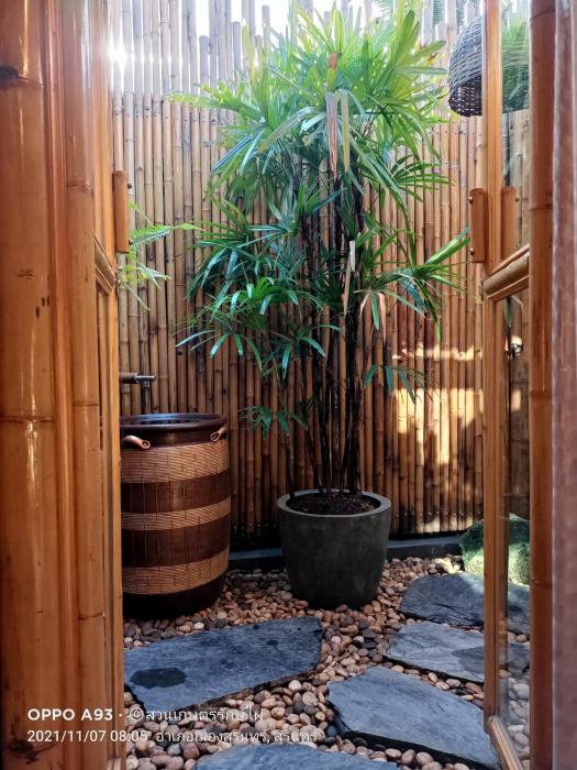 bamboo conservation farm