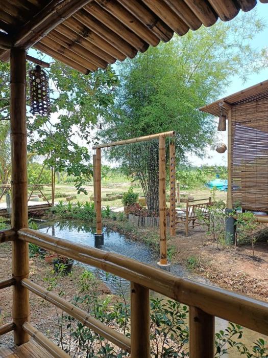 bamboo conservation farm