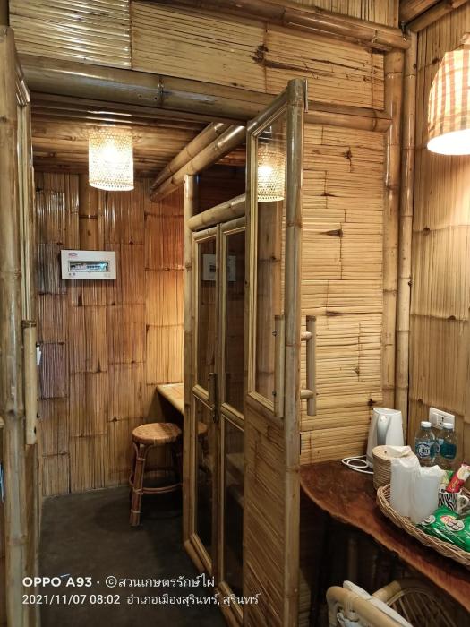 bamboo conservation farm