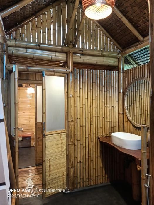 bamboo conservation farm