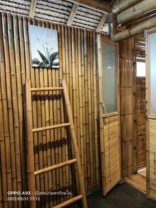 bamboo conservation farm