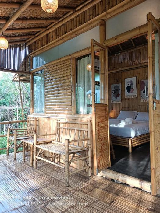 bamboo conservation farm