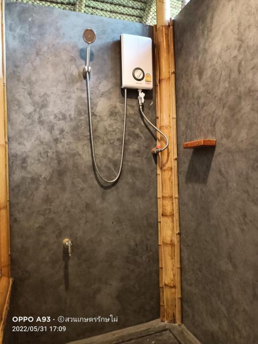 bamboo conservation farm