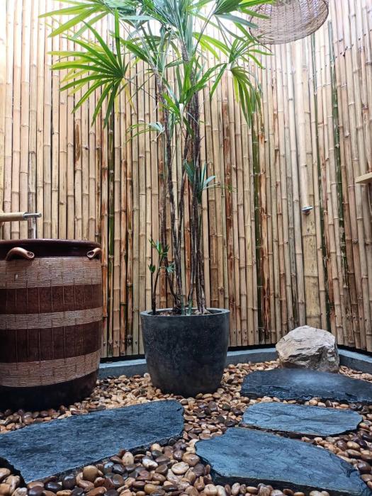 bamboo conservation farm