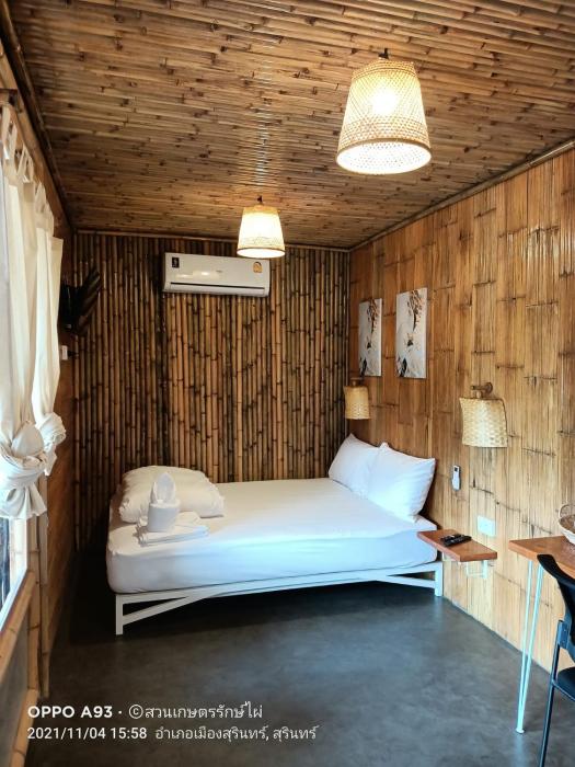 bamboo conservation farm