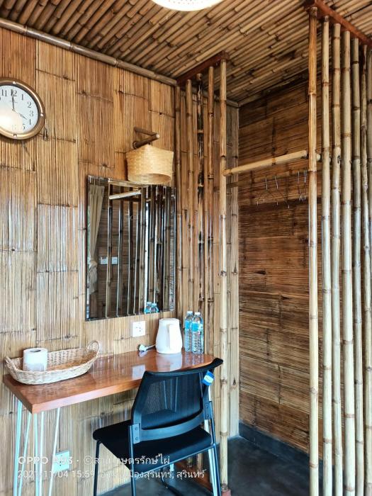 bamboo conservation farm