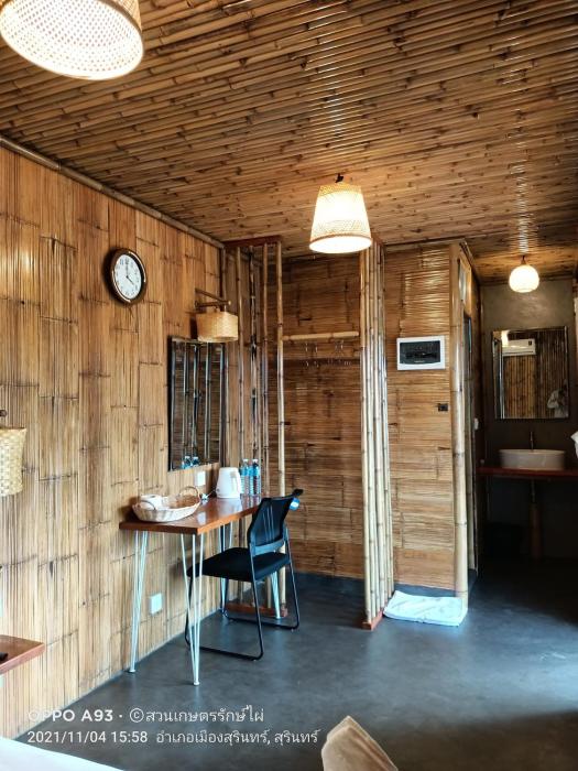 bamboo conservation farm