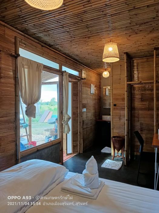 bamboo conservation farm