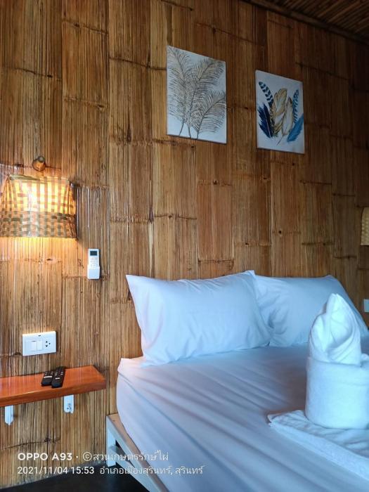 bamboo conservation farm