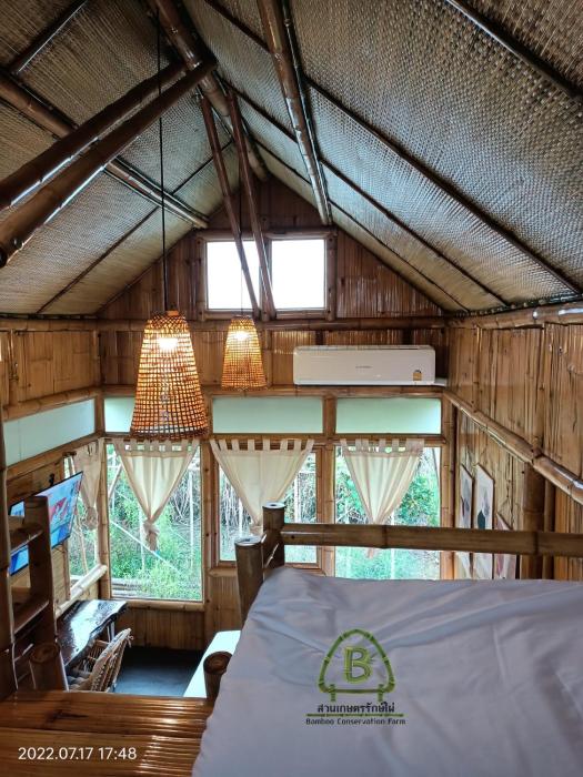 bamboo conservation farm