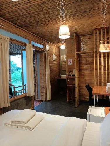 bamboo conservation farm