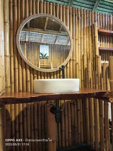 bamboo conservation farm