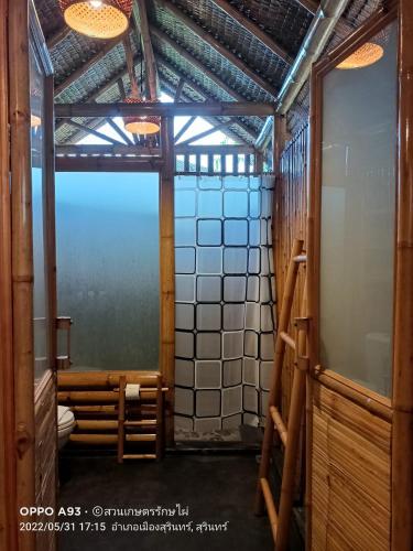 bamboo conservation farm