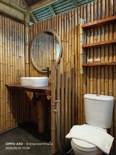 bamboo conservation farm