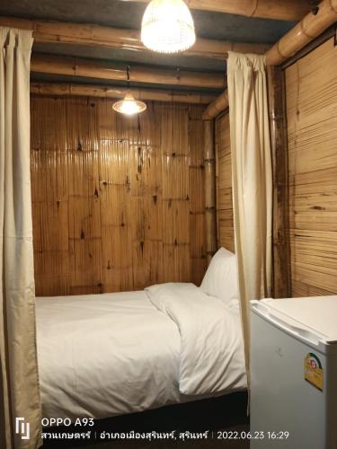 bamboo conservation farm