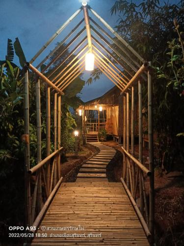 bamboo conservation farm