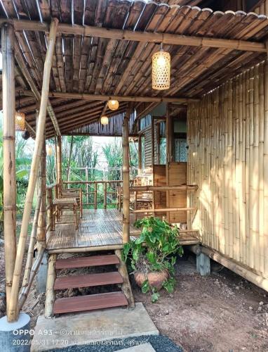 bamboo conservation farm