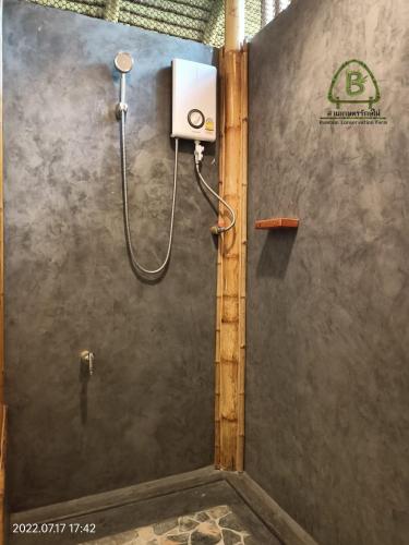 bamboo conservation farm