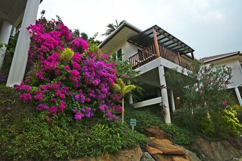 pinnacle koh tao resort