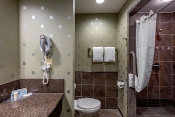comfort suites perrysburg toledo south