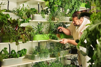 philadelphia marriott downtown