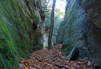 rowlesburg