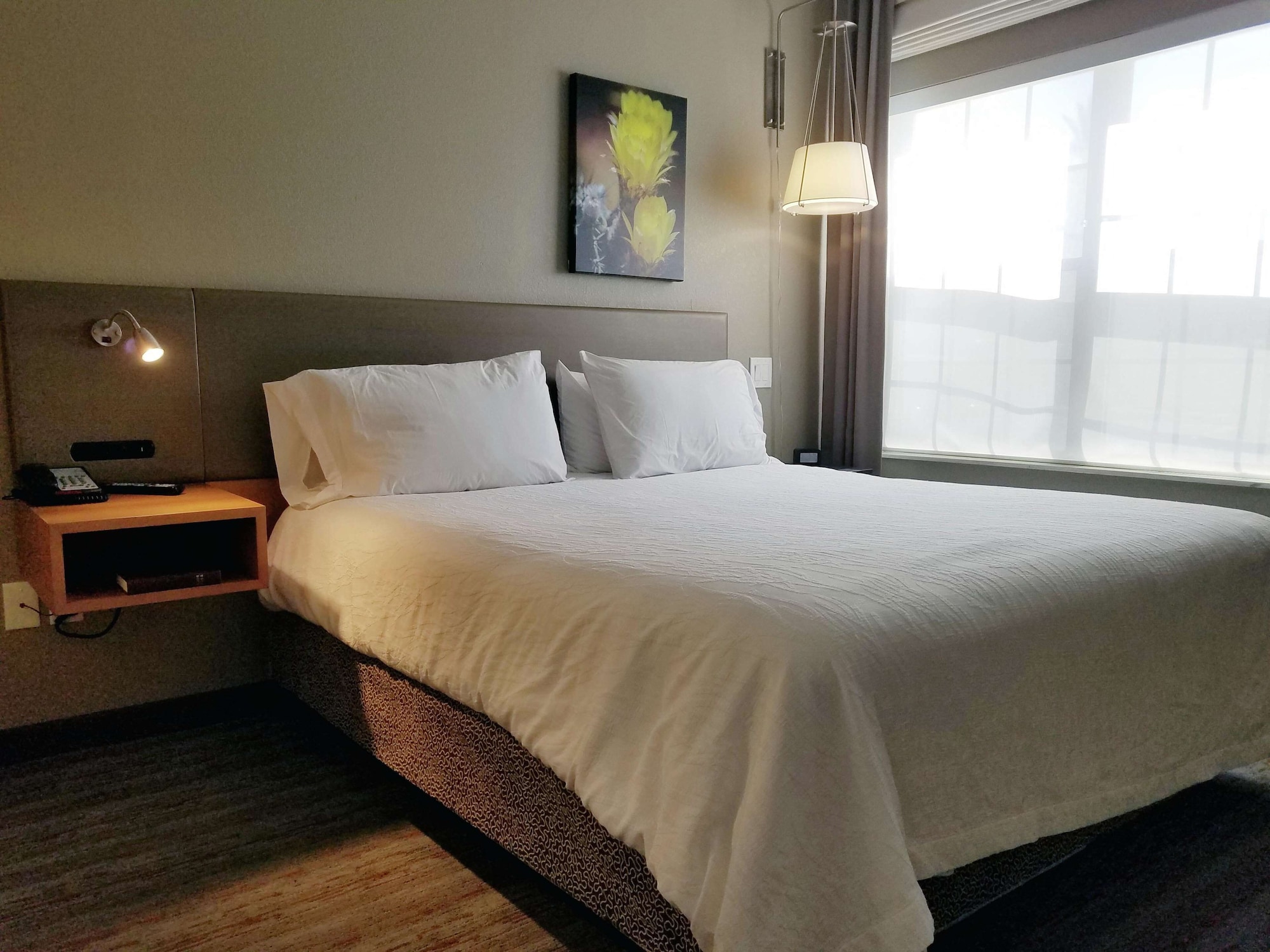 hilton garden inn phoenix airport