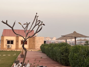 camp pyramids view hotel
