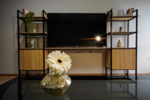 felinger concept hotel