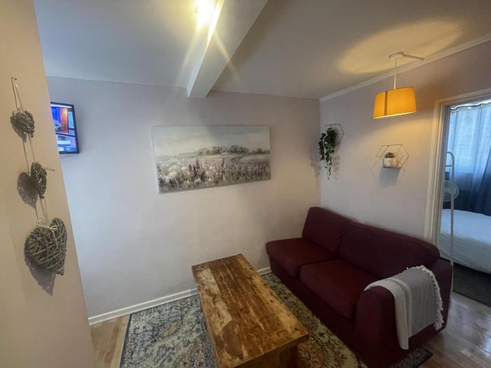 comfy and lovely 1 bed apartment in london