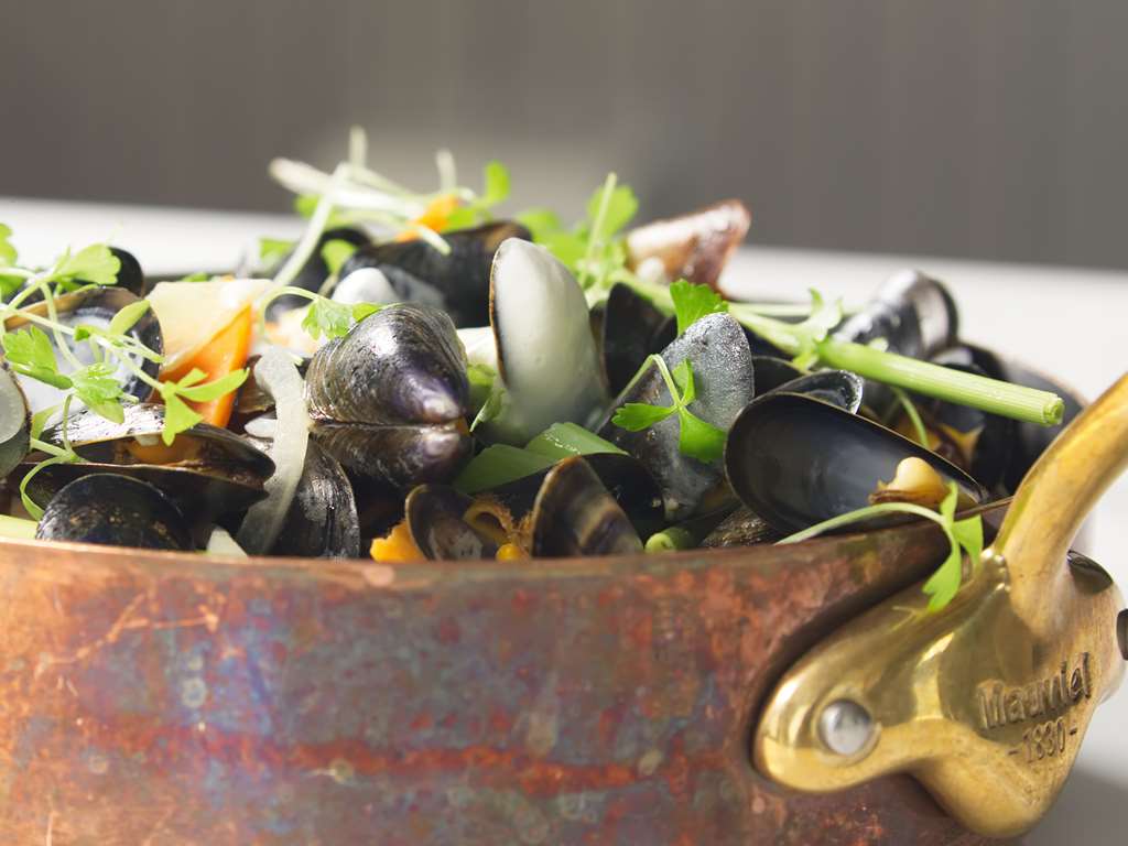 golden tulip shanghai rainbow