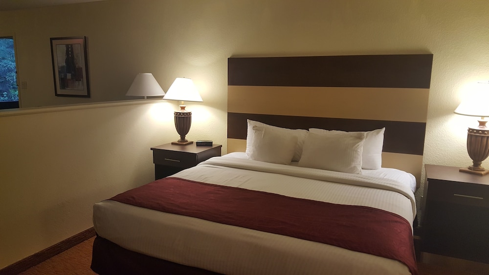 best western pine springs inn