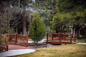 best western pine springs inn