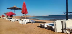 sharm bride resort aqua and spa