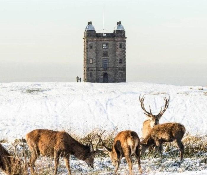 immaculate 1 bed house in newtown disley