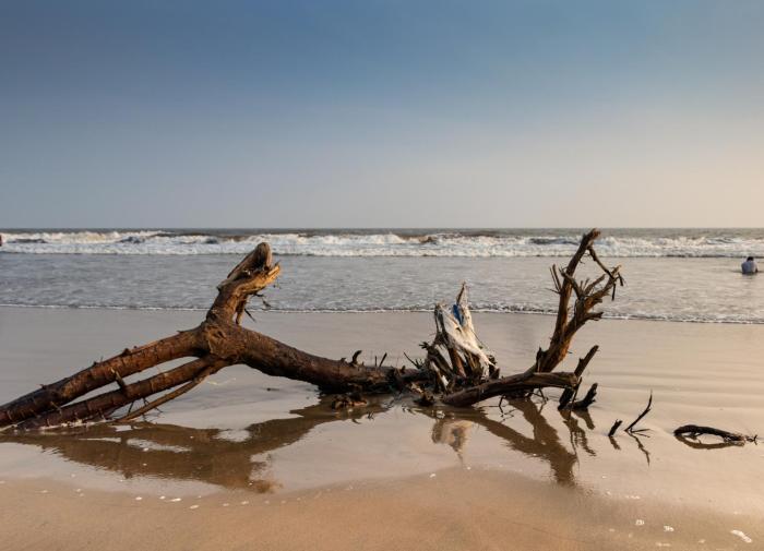 rvr sarovar portico dindi