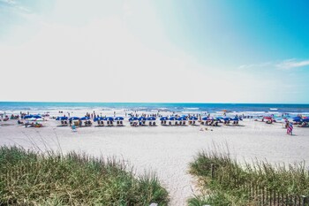 north myrtle beach