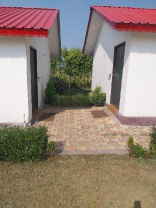 brar tiger resort corbett by royal collection