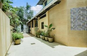 shraddha luxury room