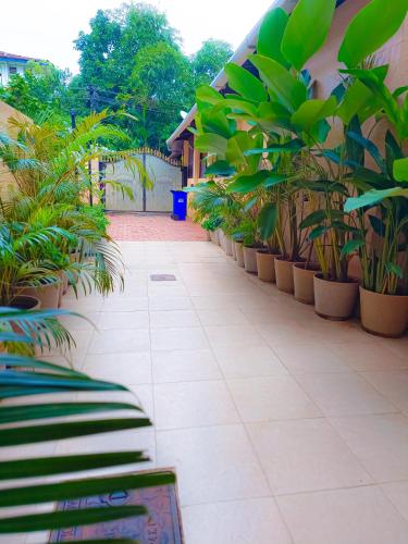 shraddha luxury room