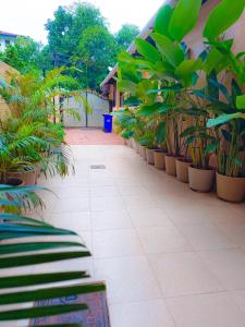 shraddha luxury room