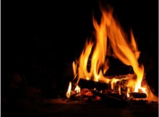 bimalfarm at koroli hills