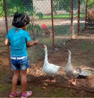 bimalfarm at koroli hills