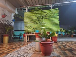 mavenoak dreams bandb